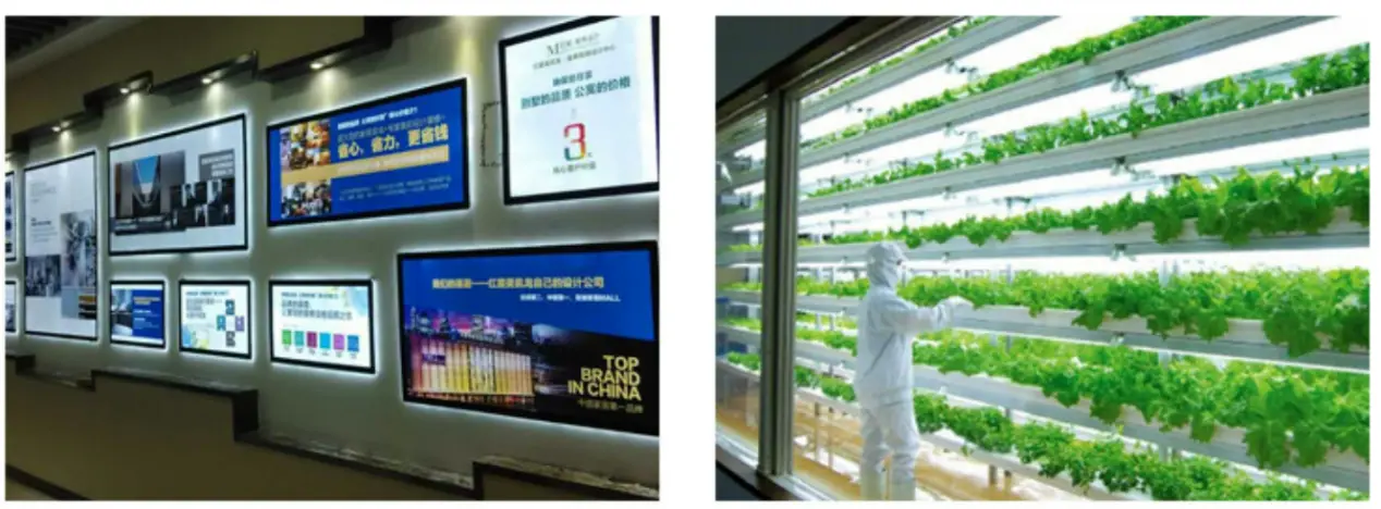 T12 G13 End Cap